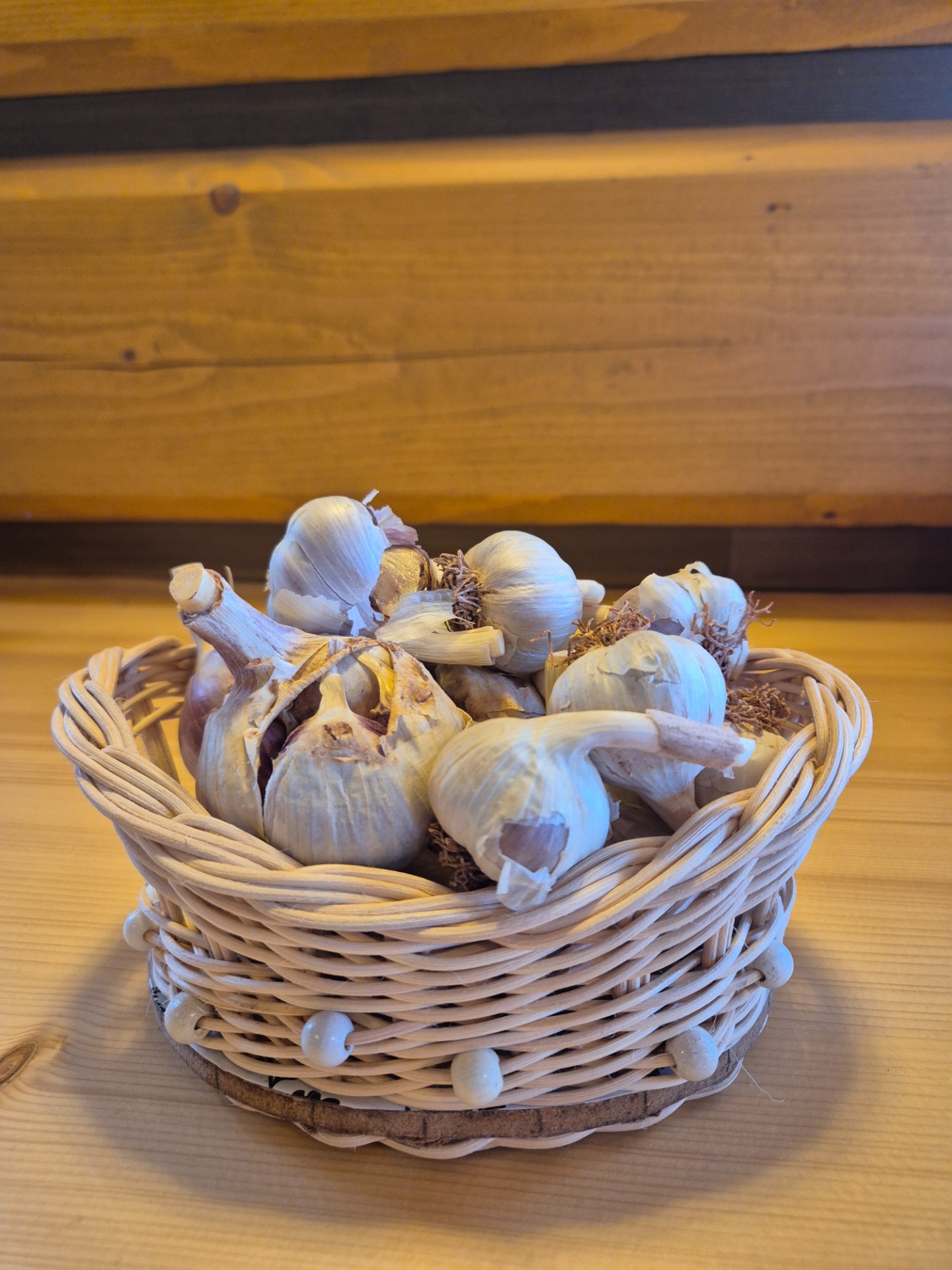 Odrůda Bjetin ve druhé jakosti 160 Kč/Kg